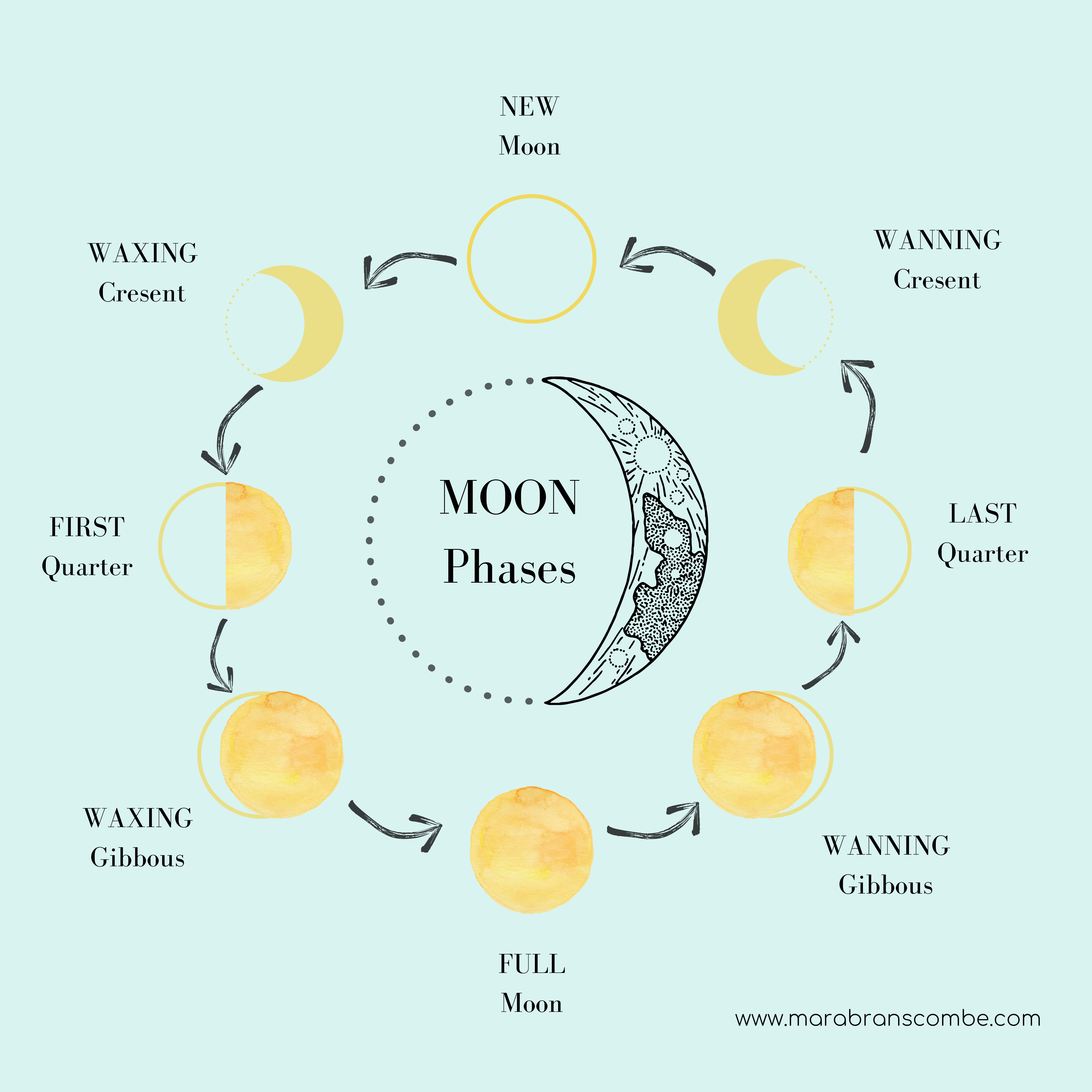 MOON PHASES | Mara Branscombe